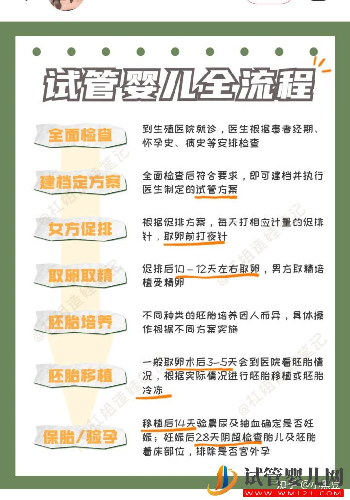 试管全流程,看这一篇就够了!_知乎_试管婴儿怎么做的全过程(图2)