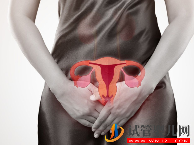 子宫是女性最要的生殖器官