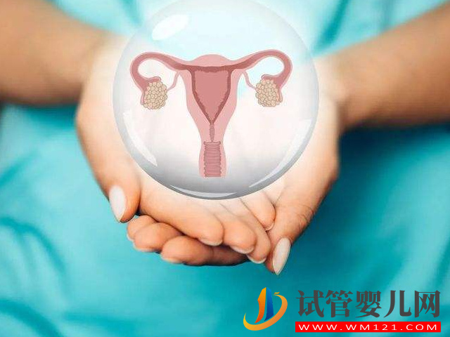 身体附件病变需要切除输卵管以及卵巢