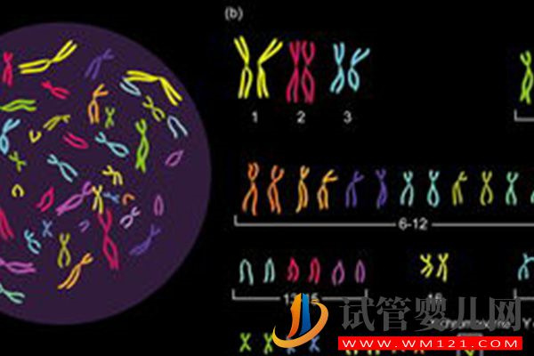 男方染色体异常可以做三代试管