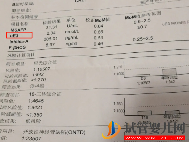 雌三醇检查报告单