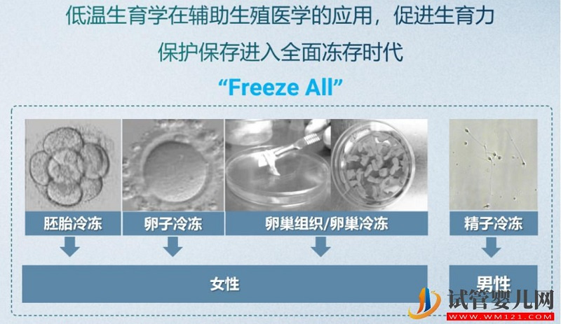 试管婴儿技术走到了哪一步？专家解答→(图8)