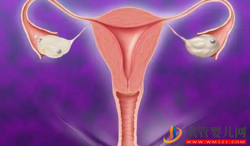子宫发育不良可以做试管婴儿生双胞胎吗?(图1)
