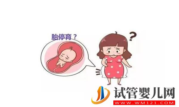 胎停育后能再次怀孕吗？不要等到发生再后悔,孕妈一定要看！