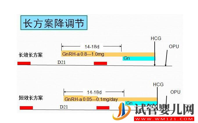 做试管促排方案不会选？没关系！医生教你如何正确选择促排方案