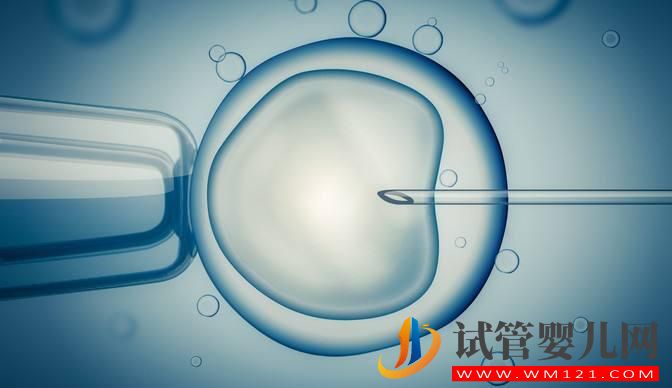 试管婴儿IVF和人工授精IUI有什么区别和不同
