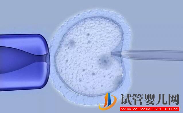 试管婴儿IVF和人工授精IUI有什么区别和不同