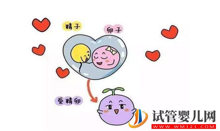 囊胚移植和普遍胚胎移植有什么区别？囊胚移植的优点是什么