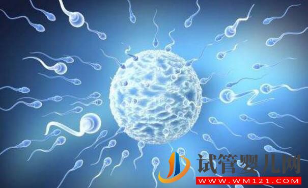 试管婴儿怎么取优质的精子？做试管前如何提高精子质量