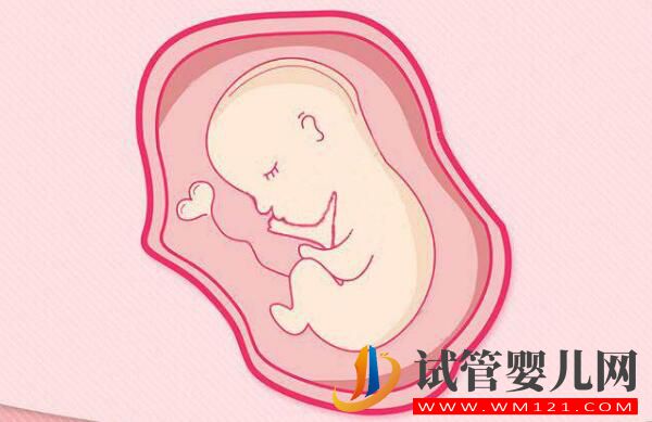 做试管婴儿对子宫环境有哪些要求？如何提高子宫环境