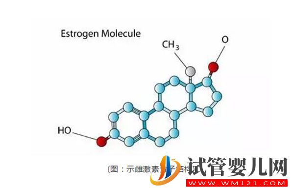 试管婴儿进周前检测雌激素是为什么？雌激素对于排卵进周的意义