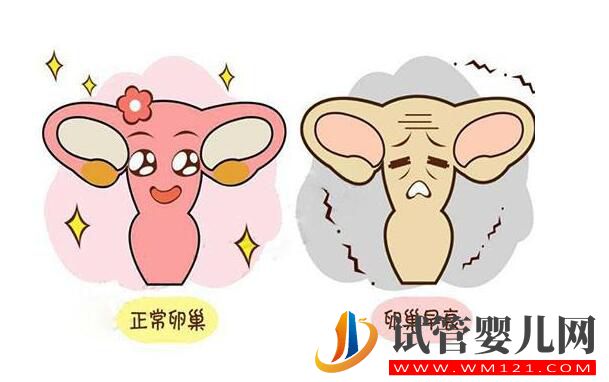 卵巢早衰去泰国做试管婴儿的成功率如何?(图2) 卵巢早衰去泰国做试管婴儿的成功率如何?(图2)