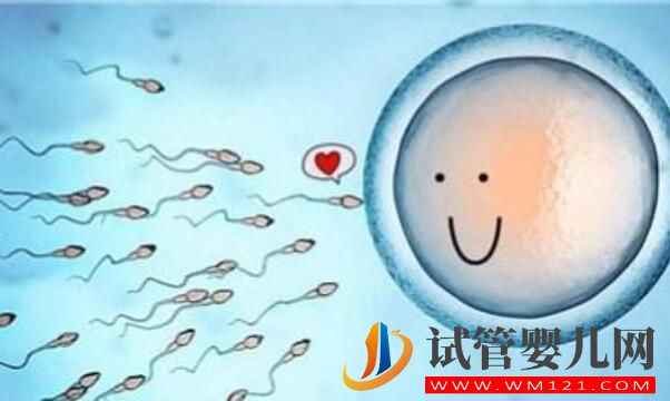 冷冻胚胎的作用有哪些 胚胎的质量和冷藏时间有关系吗