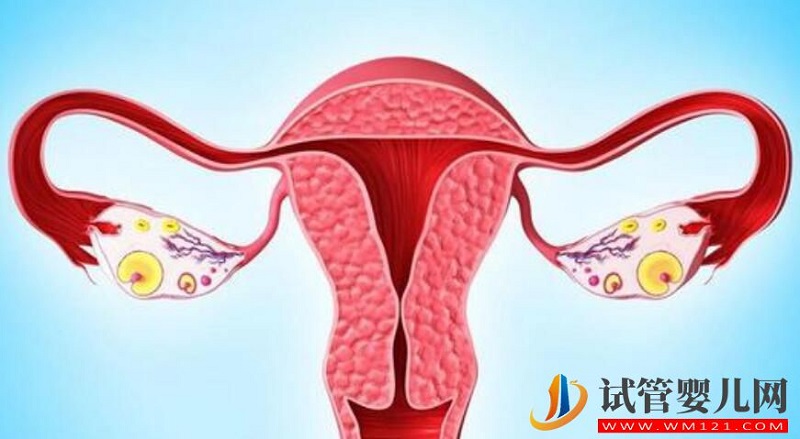 妇科疾病对于试管辅助生殖有什么影响？应该如何预防呢？