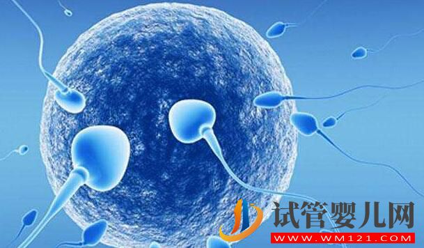 试管前的精液检查有什么需要注意的？染色体缺失有影响吗？
