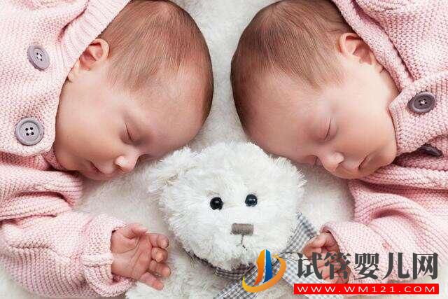 具备哪些知识可以有助于生双胞胎