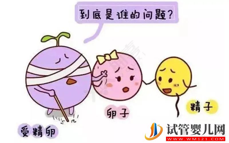 卵子质量差