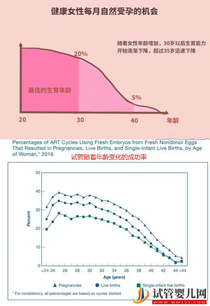 女性不同年龄生育的概率