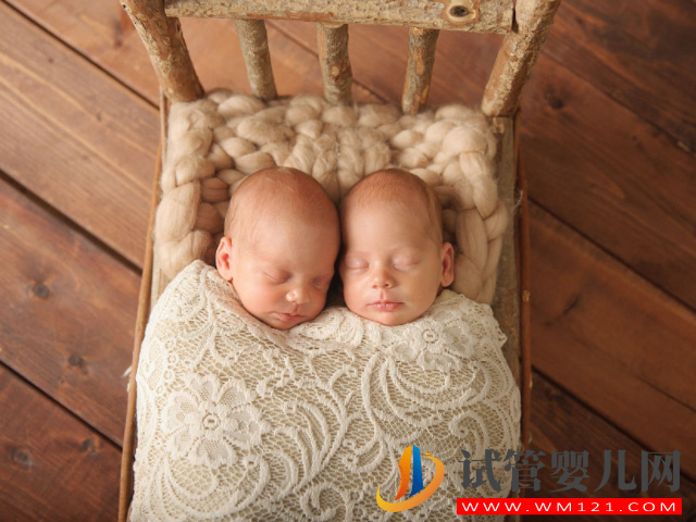 孕育双卵双胞胎的几率很小
