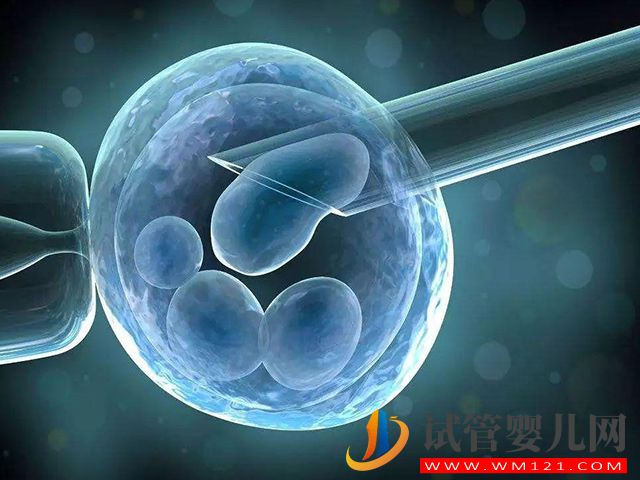 胚胎移植后可以自行分裂
