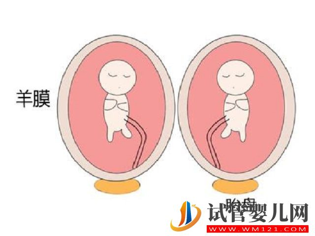 双胎一胎停育对另一胎可能不会有影响
