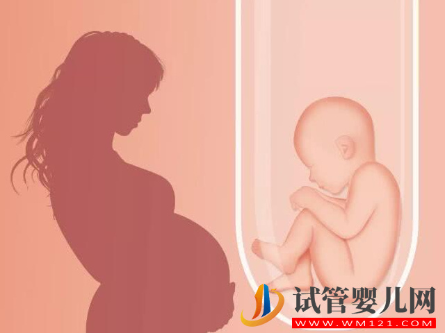 体外受精胚胎移植后妊娠俗称试管婴儿