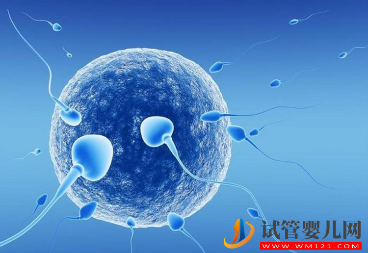 辅酶Q10不仅可以提高卵子质量，对精子也有好处