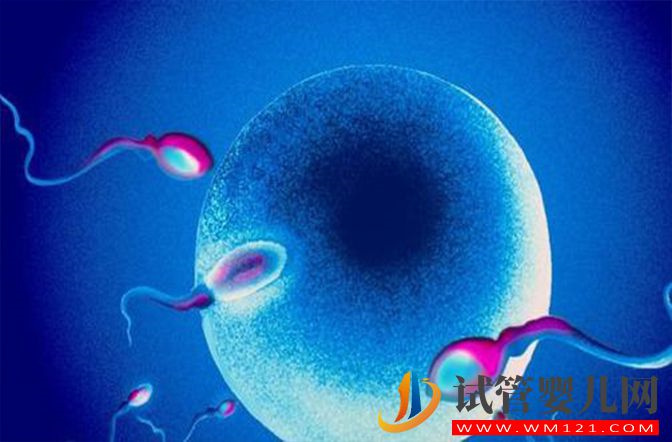 离心精子洗涤能提高精子的活力