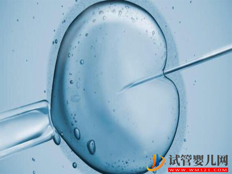 自然周期囊胚移植的成功率分析
