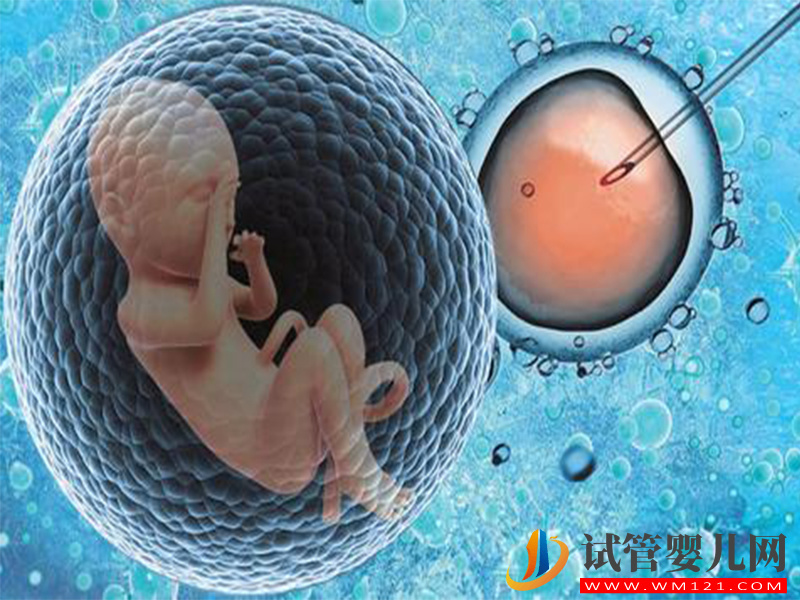 提高自然周期囊胚移植成功率的方式