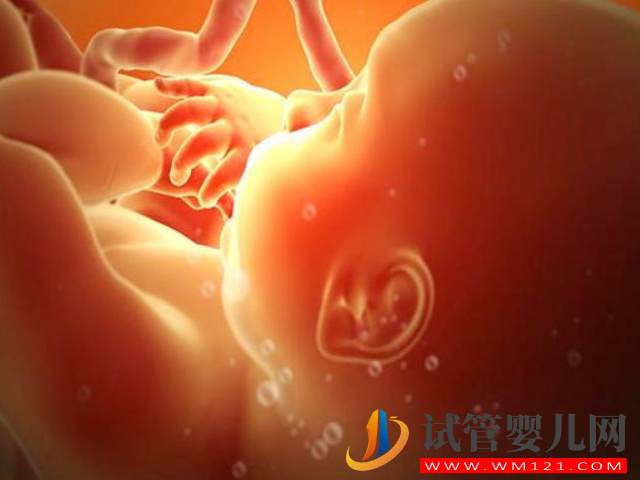 大龄女性所孕育的胎儿容易畸形