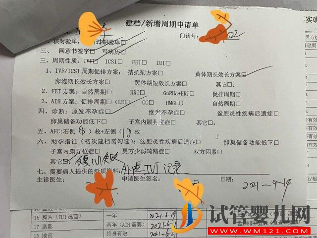 试管建档后就正式进入试管周期