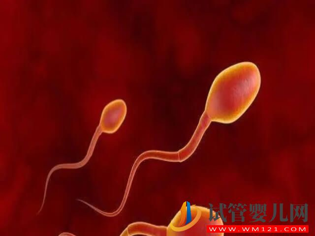 精液离心检查偶见活动精子能做试管