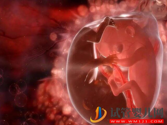 试管移植胚胎子宫环境良好可以要双胎