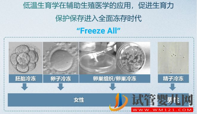 试管婴儿技术走到了哪一步？(图8)