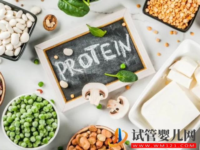 蛋白质可以促进体内新陈代谢