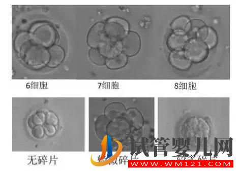 试管婴儿多次移植不着床或生化,怎么办(图2)