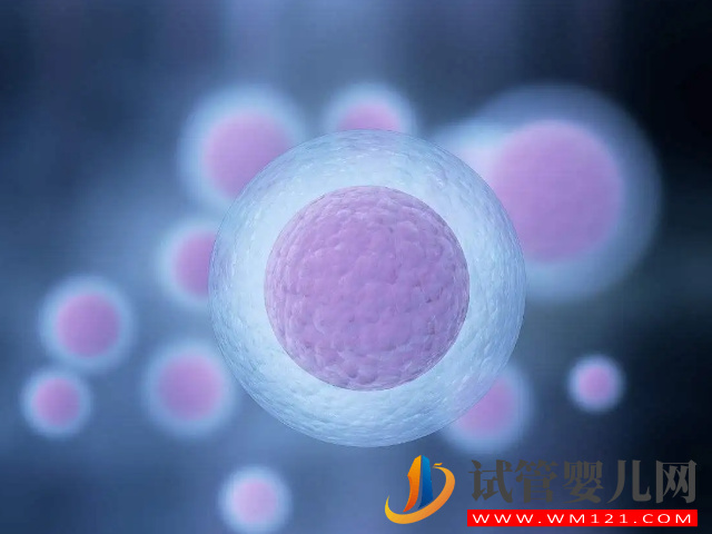 子宫内膜和卵泡的发育有联系
