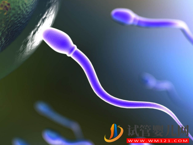 男性备孕前通过运动可提升精子质量
