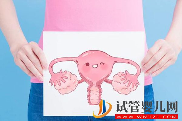 女性子宫内膜不能太薄或太厚