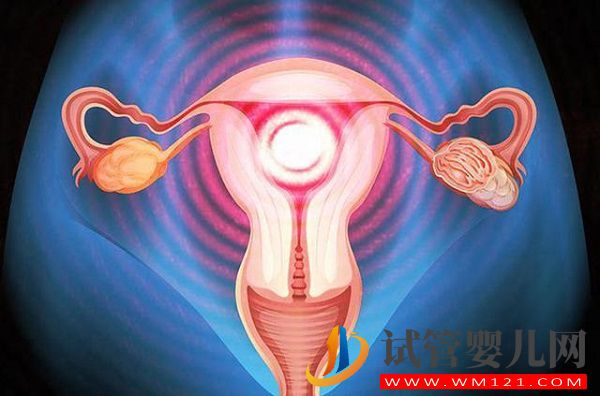 女性子宫环境会影响供卵试管成功率