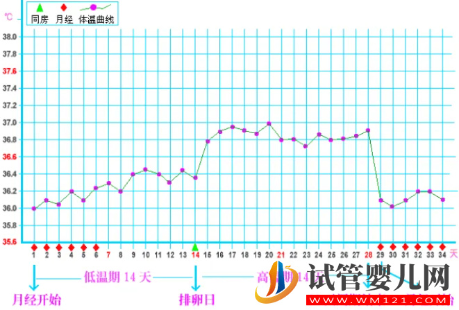 排卵期体温曲线图