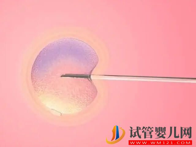 郑州申请供卵试管技术助孕等待时间