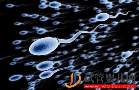 精子质量差 做试管婴儿如何提高精子质量和受精率吗？
