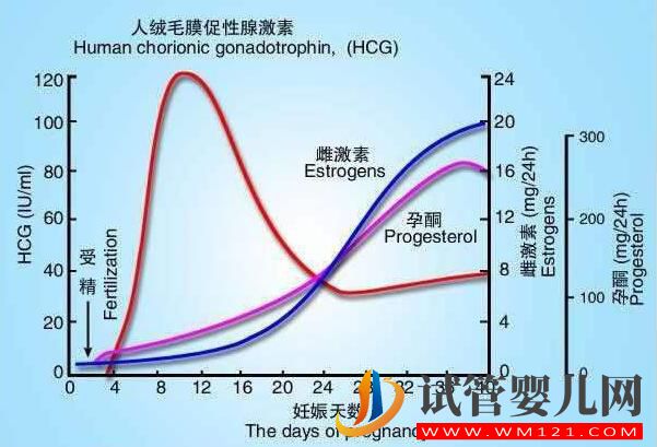 试管胚胎移植后 HCG数值高或低都代表了什么