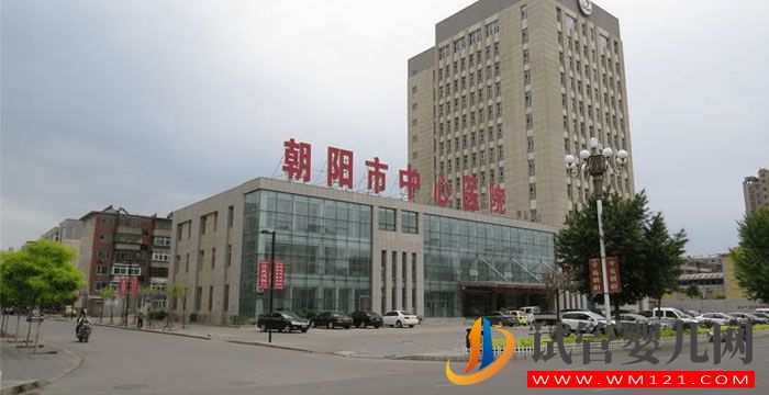 朝阳市中心医院试管婴儿成功率、费用与流程指南