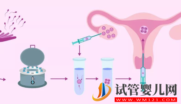 移植需要注意补充营养