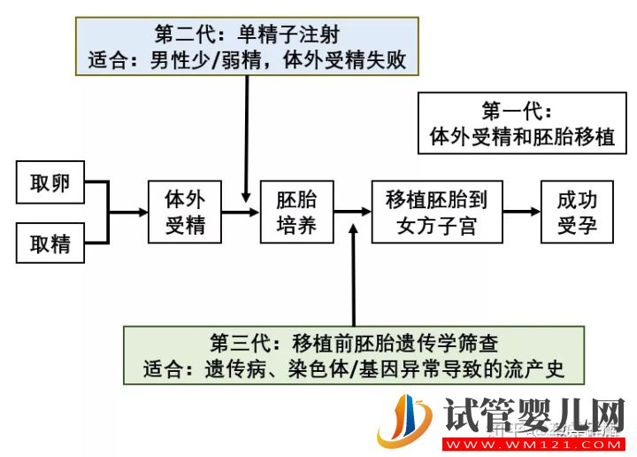 一篇文章看懂辅助生殖(图5)