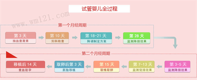 试管婴儿全流程图