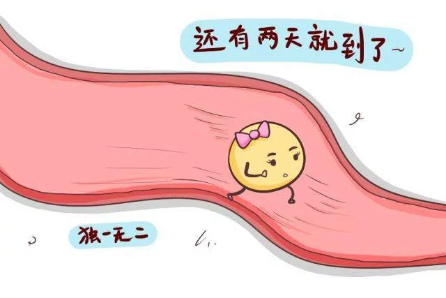 产后月经量少是卵巢早衰？(图1)